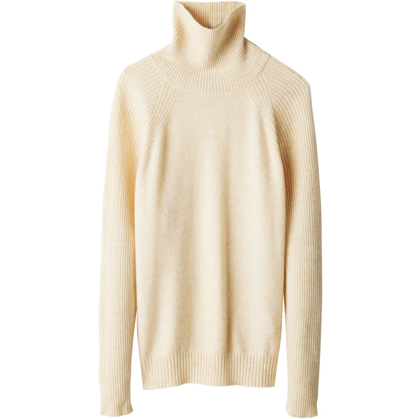 Amilia Cashmere Turtleneck Sweater