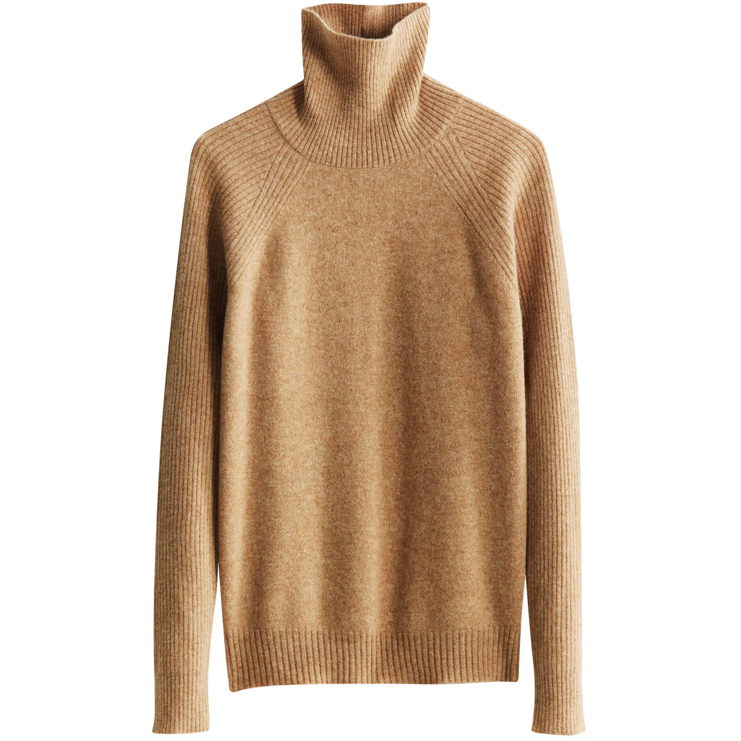 Amilia Cashmere Turtleneck Sweater